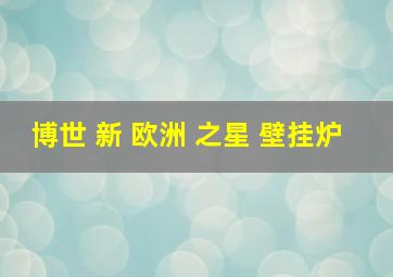 博世 新 欧洲 之星 壁挂炉